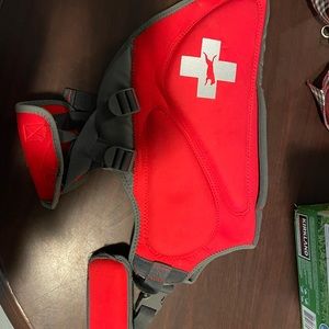 Dog life vest